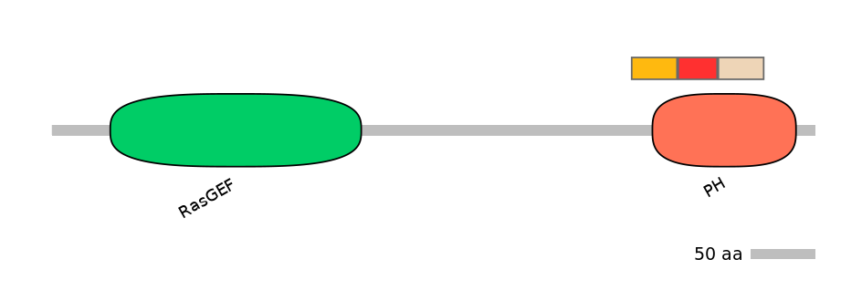 MmuEX6028498-INC
