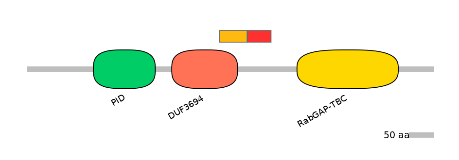MmuEX6028614-INC