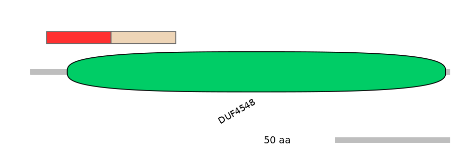 MmuEX6028683-INC