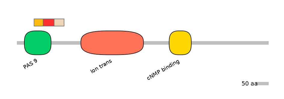 MmuEX6030131-INC