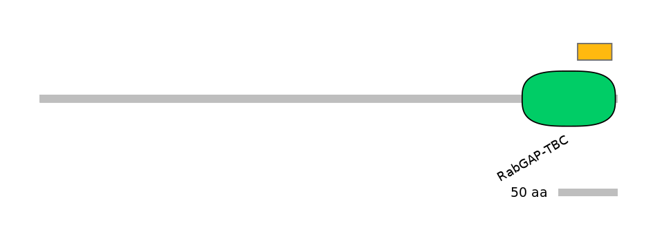 MmuEX6032688-EXC