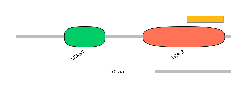 MmuEX6032828-EXC