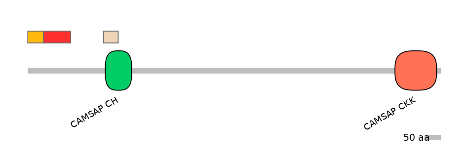 MmuEX6034126-INC