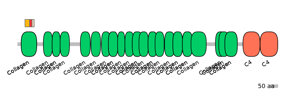 MmuEX6034286-INC