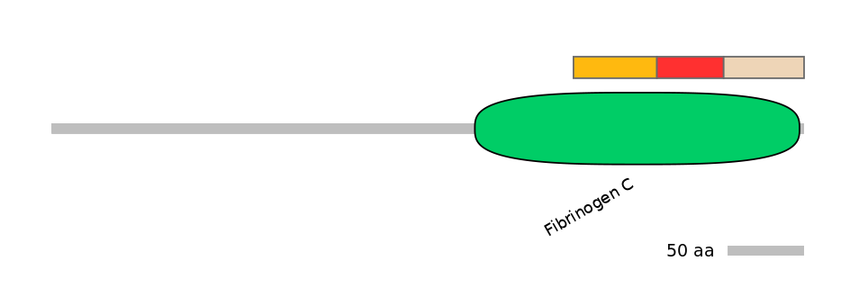 MmuEX6034729-INC