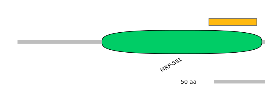 MmuEX6034825-EXC