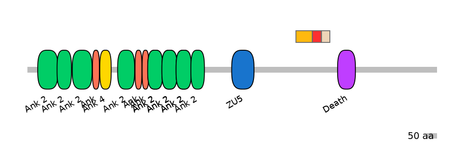 MmuEX6034888-INC