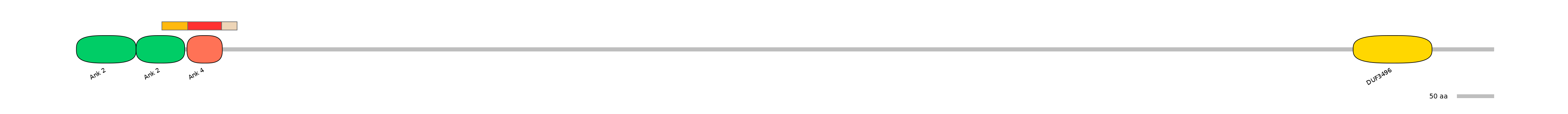 MmuEX6035206-INC