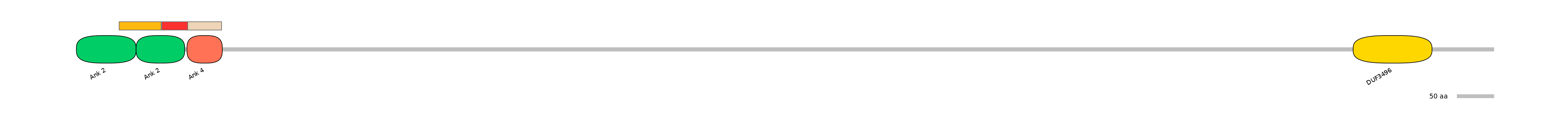 MmuEX6035207-INC