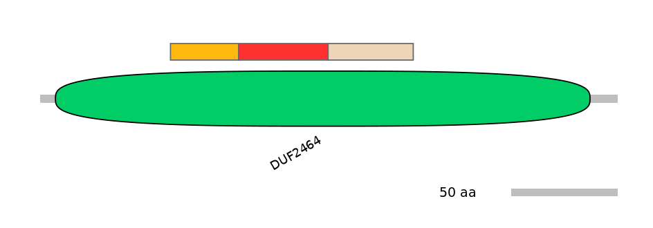 MmuEX6036330-INC