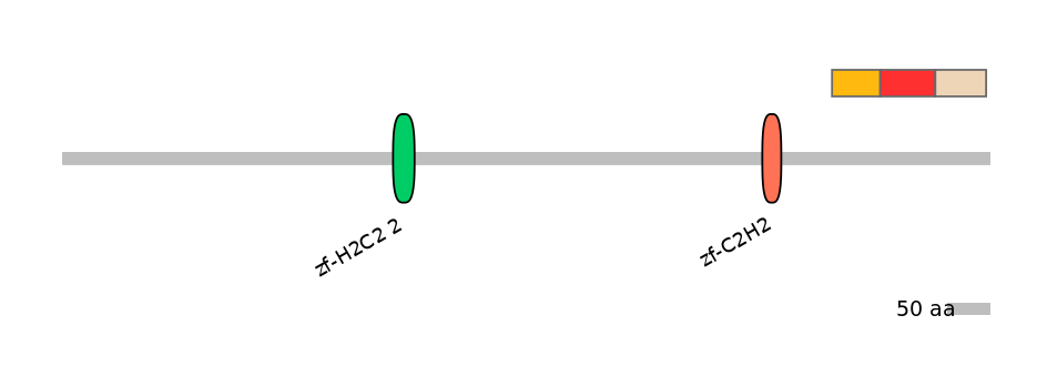 MmuEX6036578-INC