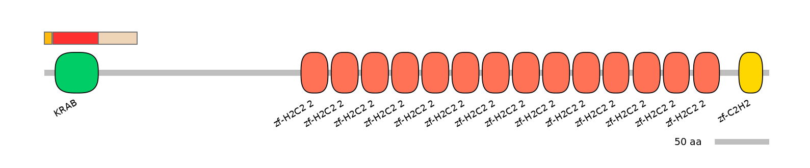 MmuEX6038383-INC