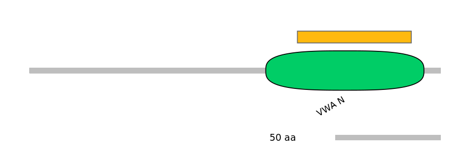 MmuEX6040205-EXC