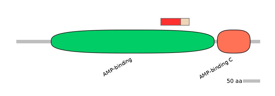 MmuEX6046227-INC