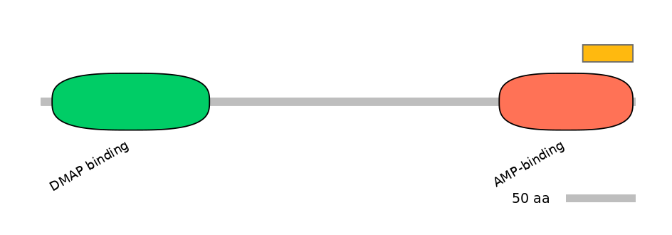 MmuEX6049153-EXC