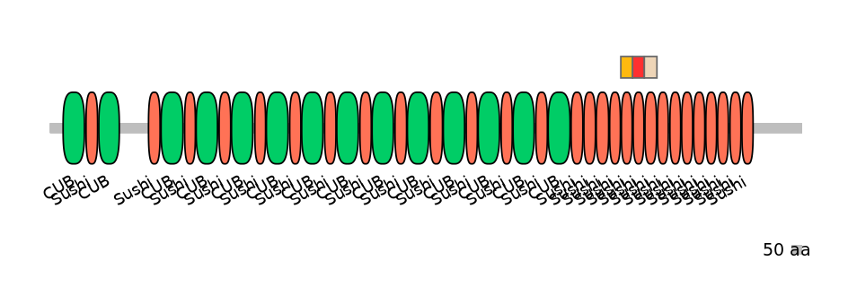 MmuEX6053534-INC
