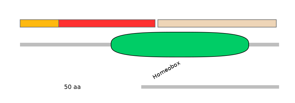 MmuEX6056462-INC