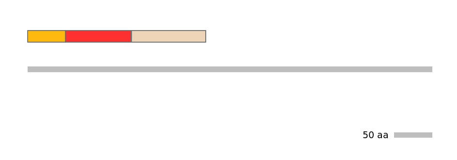 MmuEX6056519-INC