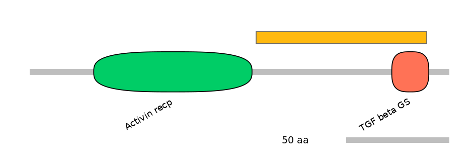 MmuEX6056601-EXC