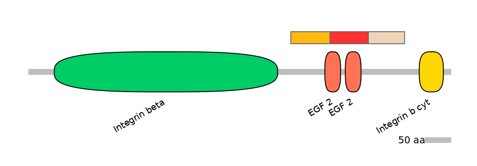 MmuEX6056812-INC