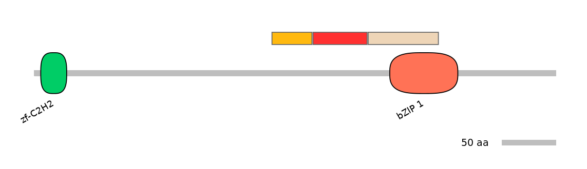 MmuEX6056874-INC