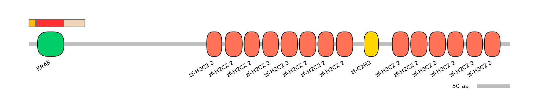 MmuEX6058243-INC