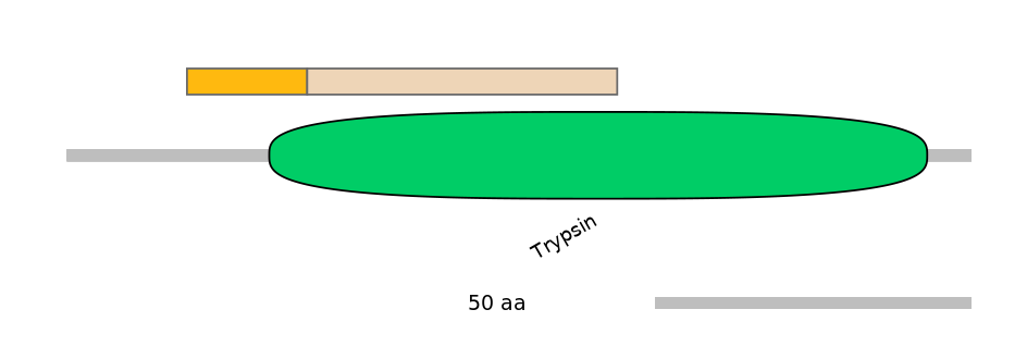 MmuEX6058598-EXC