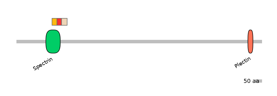 MmuEX6060698-INC