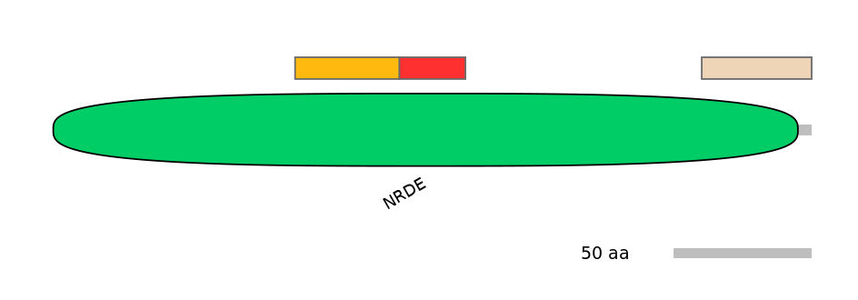 MmuEX6061305-INC