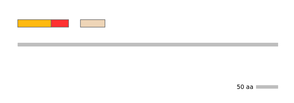 MmuEX6064519-INC