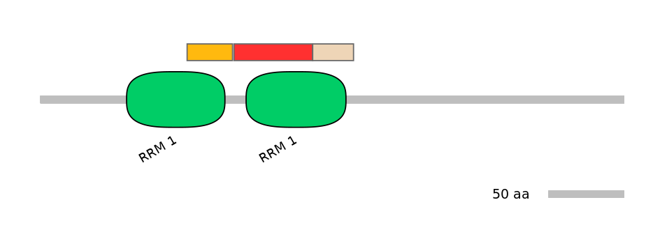 MmuEX6069612-INC