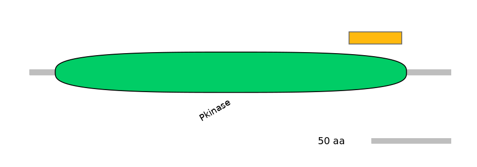 MmuEX6069727-EXC