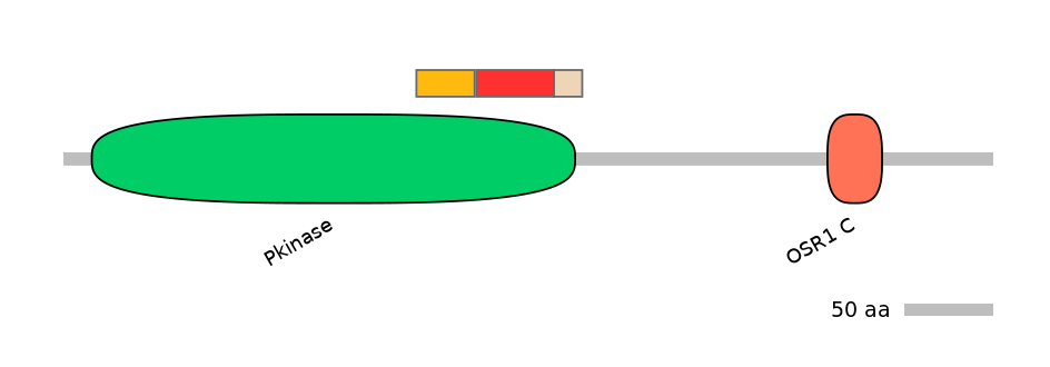 MmuEX6069727-INC