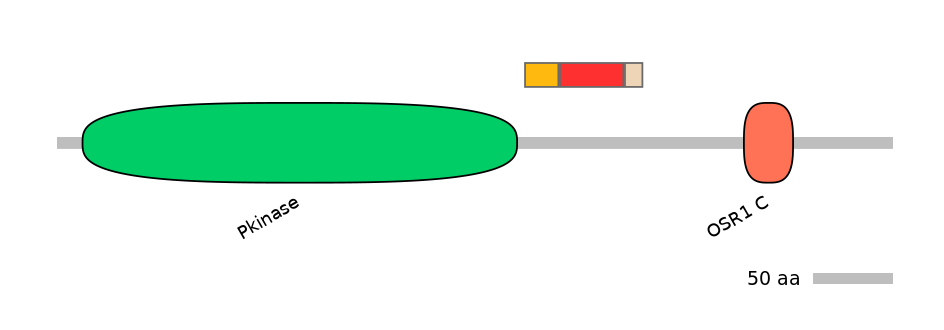 MmuEX6069730-INC
