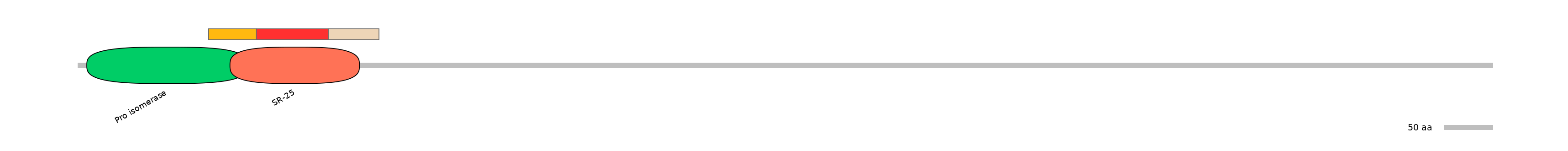 MmuEX6069971-INC