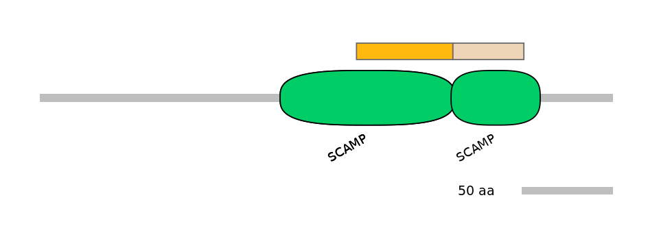 MmuEX6072101-EXC