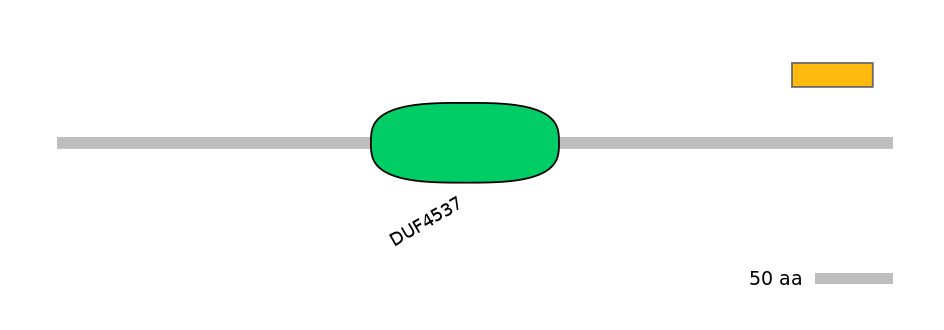 MmuEX6072548-EXC
