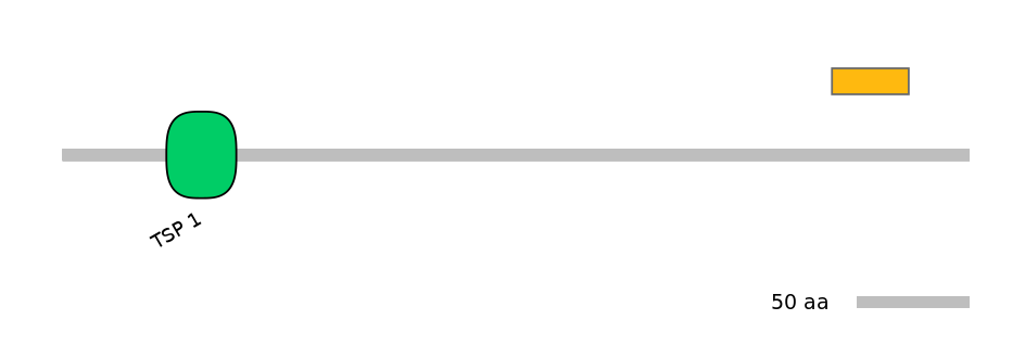 MmuEX6072578-EXC