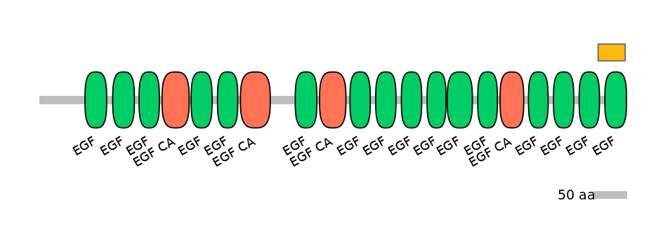MmuEX6072808-EXC