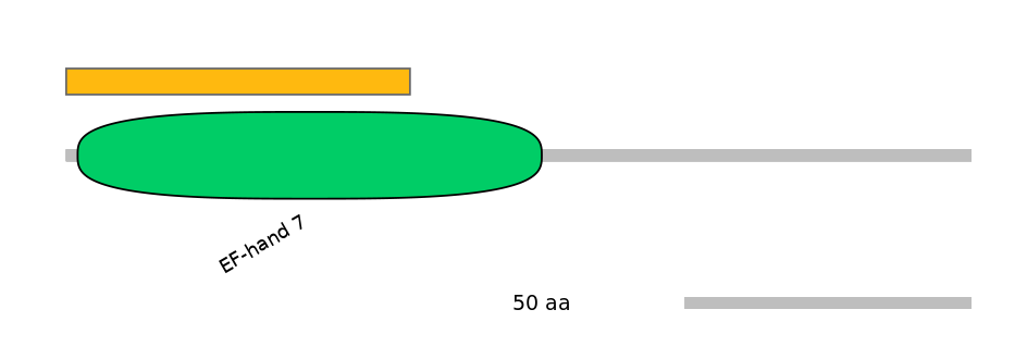 MmuEX6073500-EXC