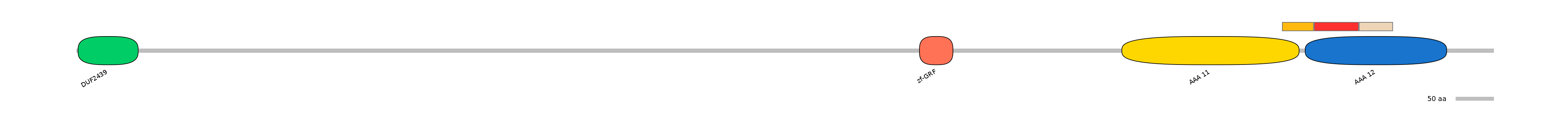 MmuEX6073990-INC