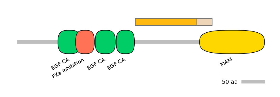 MmuEX6074167-EXC