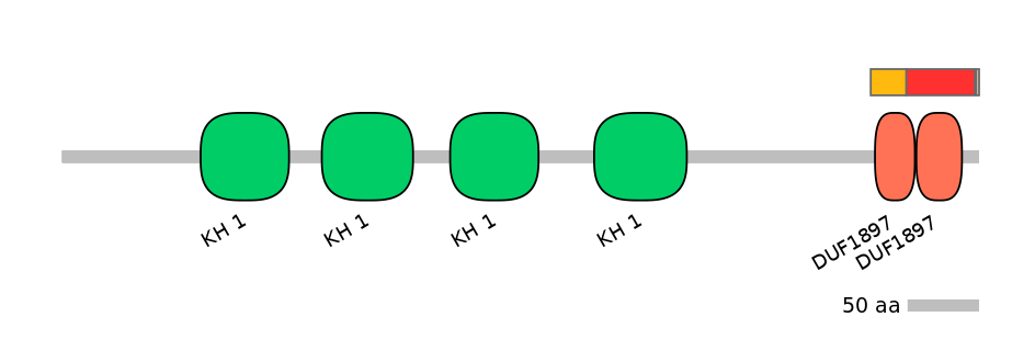 MmuEX6074740-INC