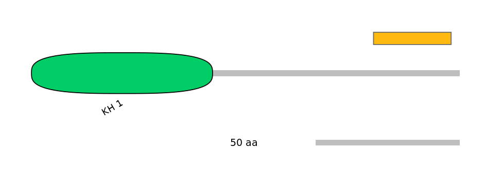 MmuEX6074741-EXC