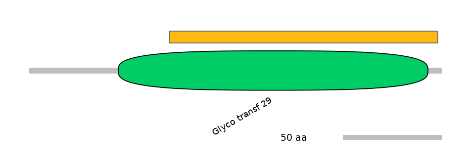 MmuEX6074801-EXC