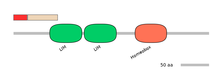 MmuEX6074843-INC