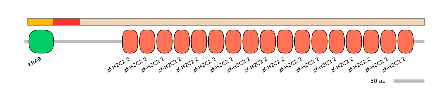 MmuEX6075432-INC