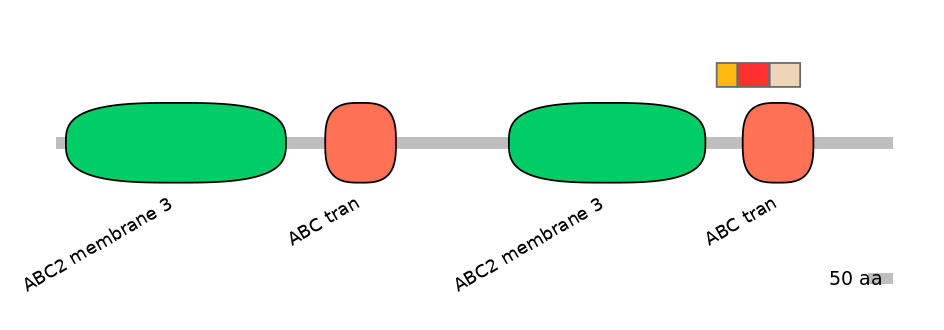MmuEX6075630-INC