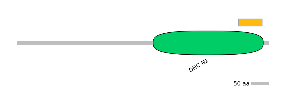 MmuEX6076602-EXC