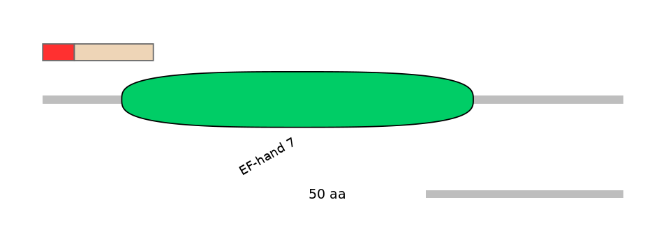MmuEX6077426-INC